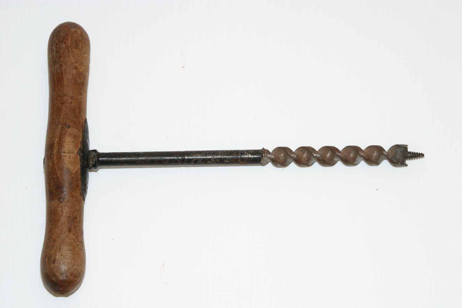 succhiello - produzione marchigiana (secc. XIX/ XX)