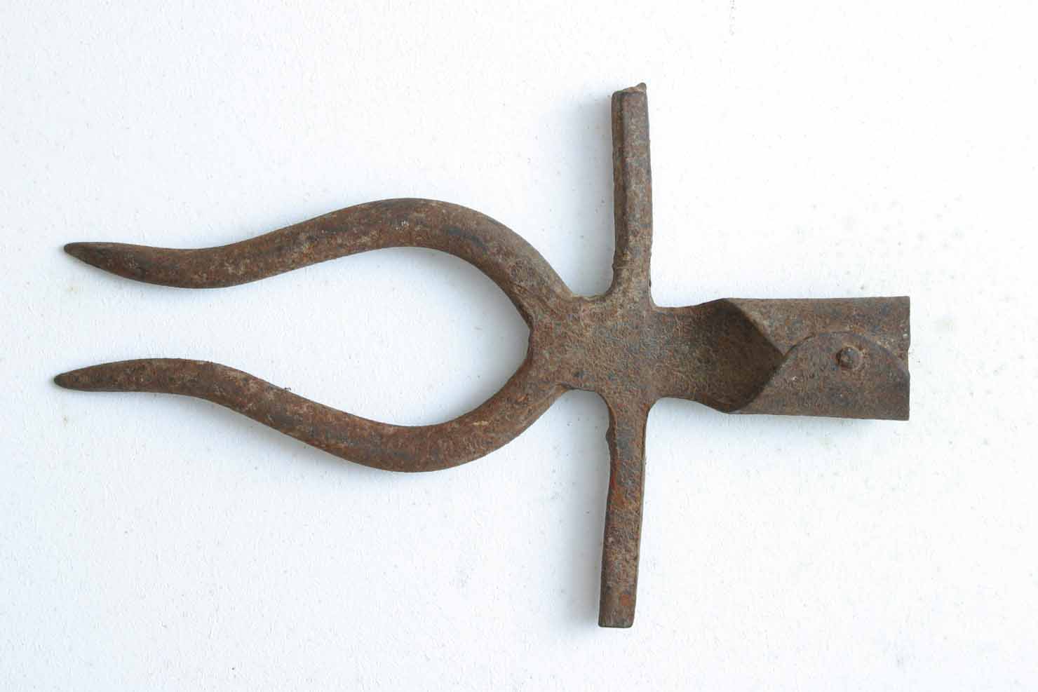 estirpatore di barbabietole - produzione marchigiana (secc. XIX/ XX)