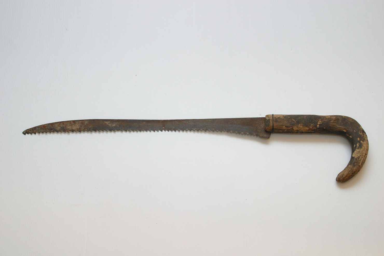 sega - produzione marchigiana (secc. XIX/ XX)