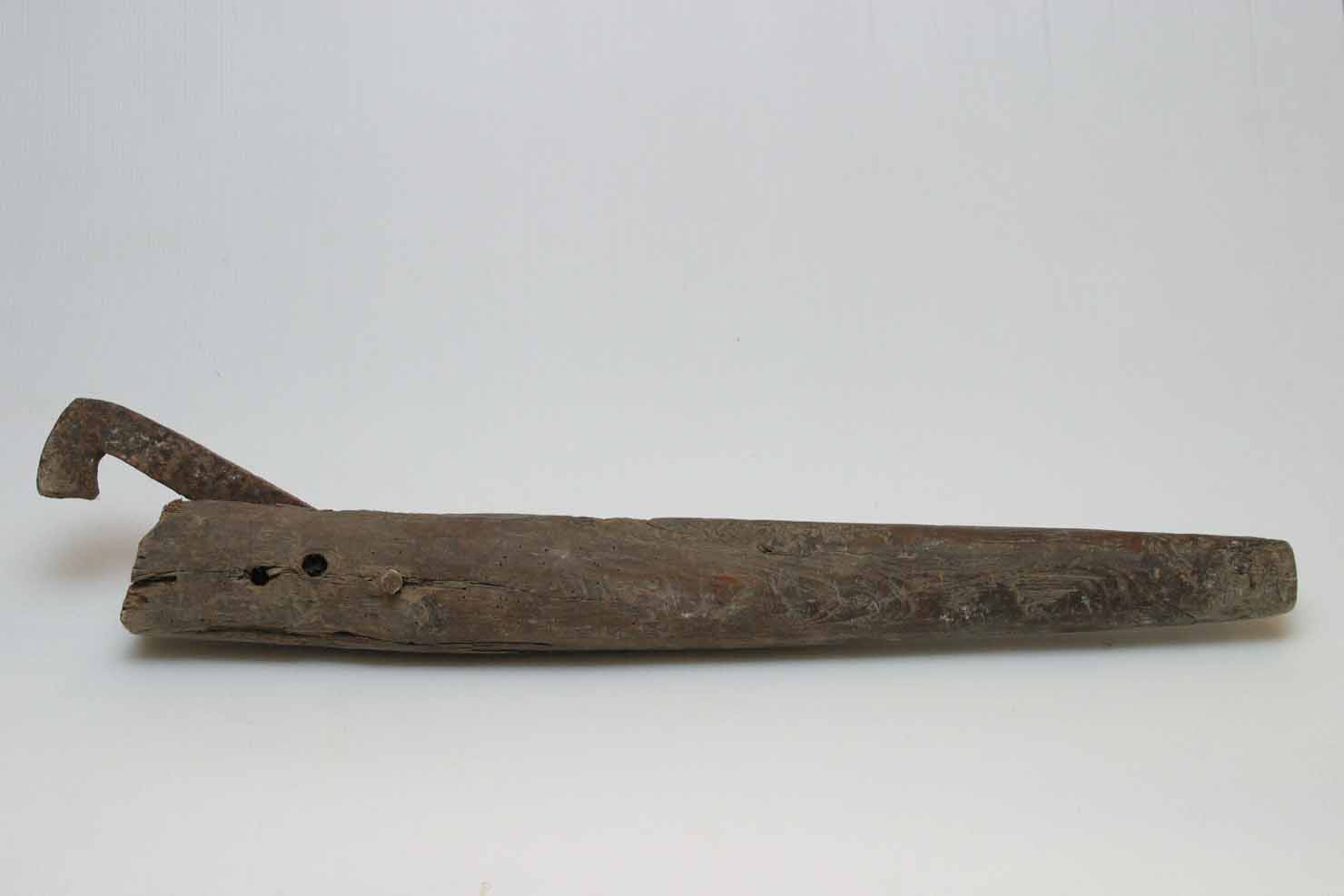 cagna per ruote - produzione marchigiana (secc. XIX/ XX)