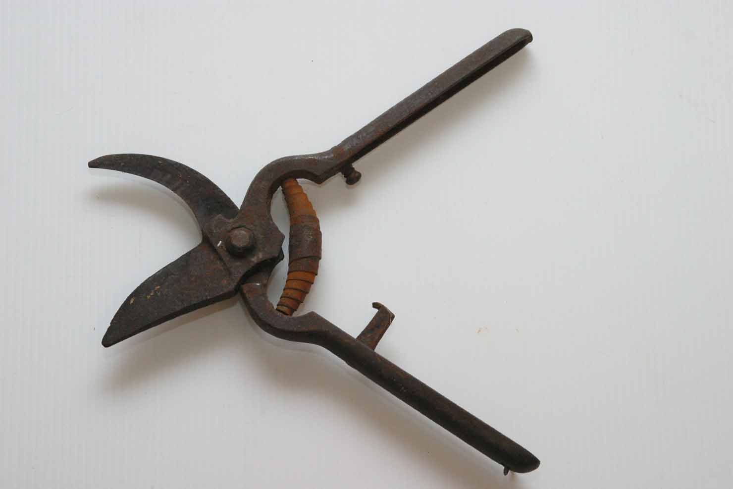 forbici da potatura - produzione marchigiana (secc. XIX/ XX)