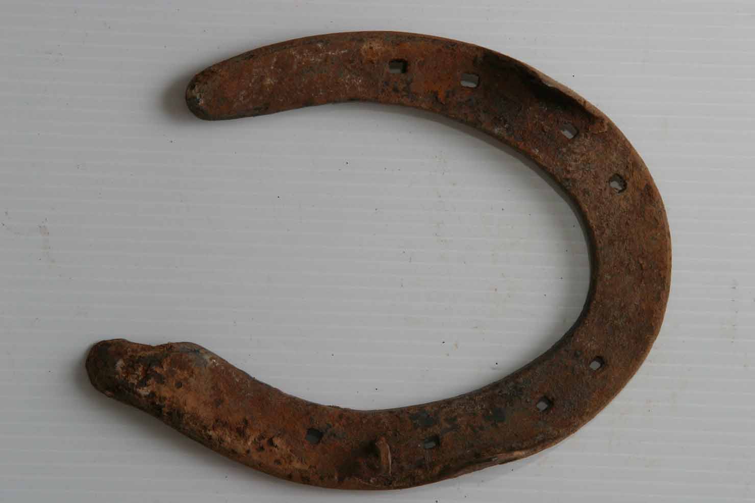 ferro da cavallo - produzione marchigiana (secc. XIX/ XX)