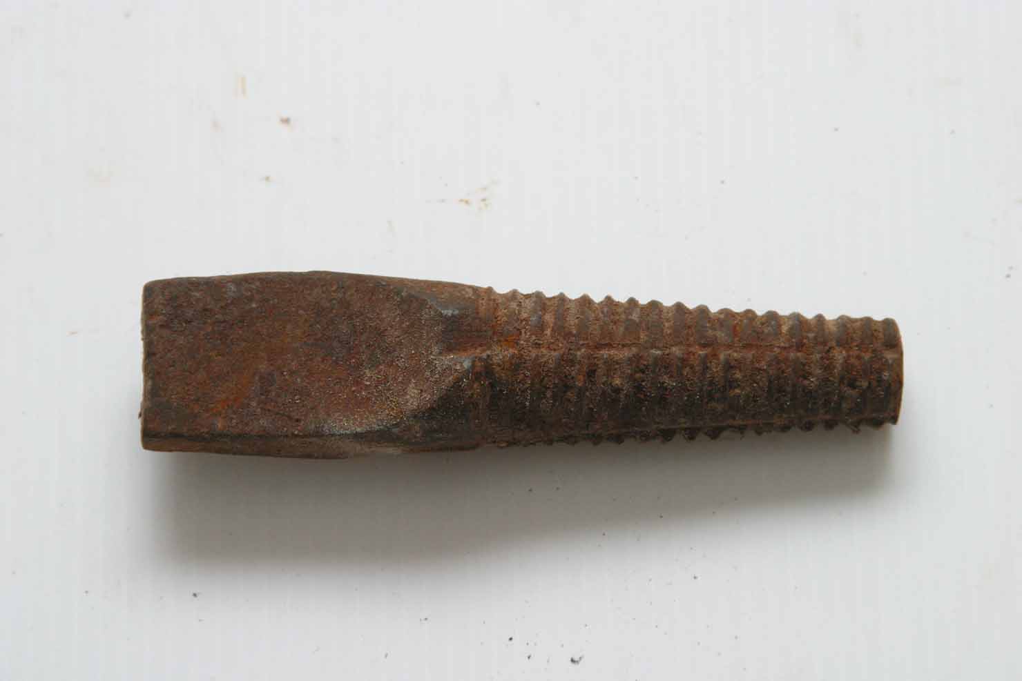 maschio - produzione marchigiana (secc. XIX/ XX)