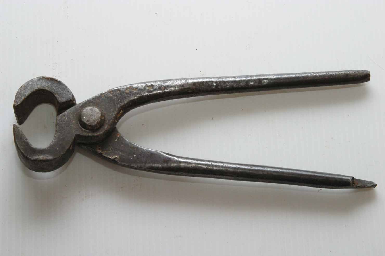 tenaglie - produzione marchigiana (secc. XIX/ XX)