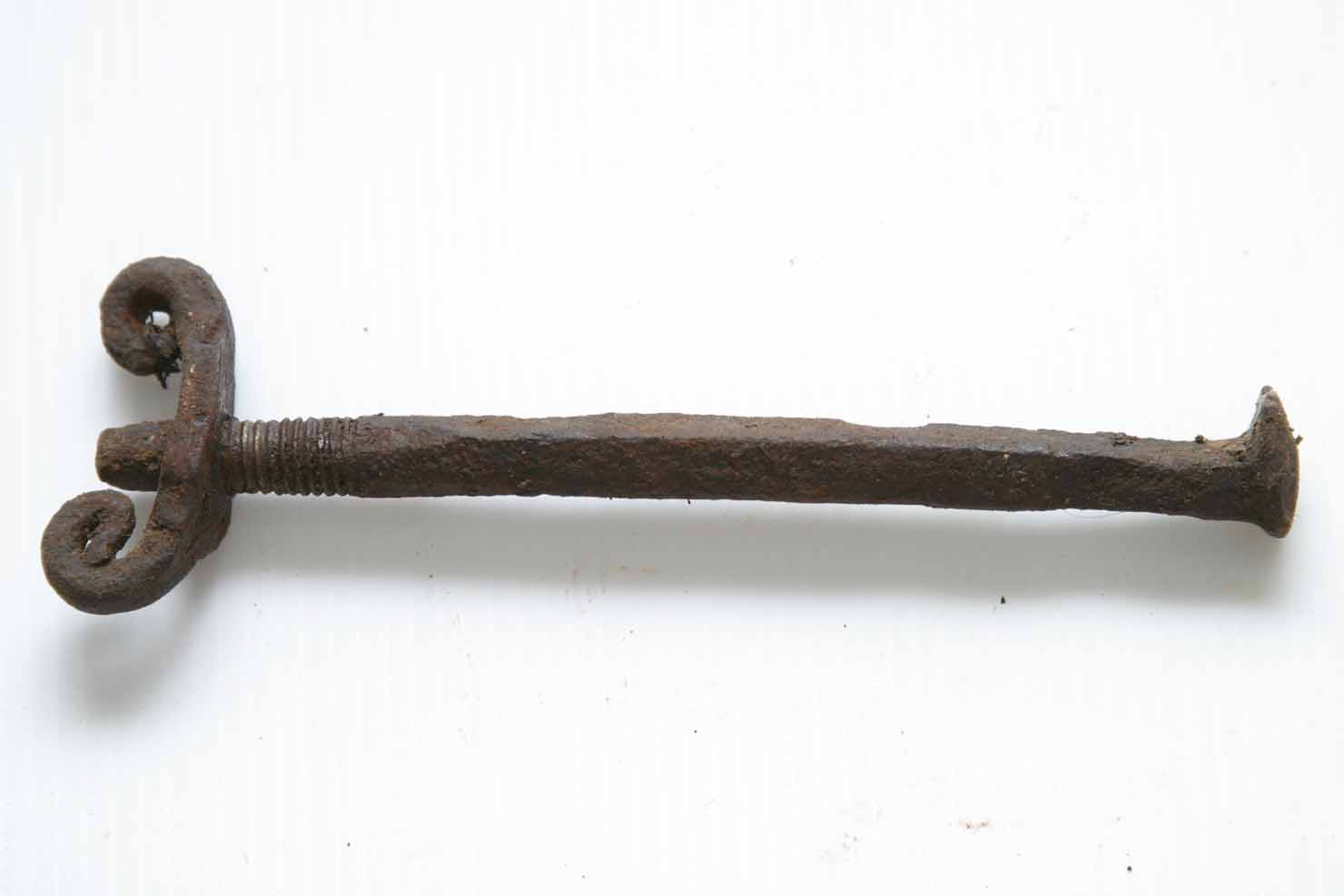 vite - produzione marchigiana (secc. XIX/ XX)