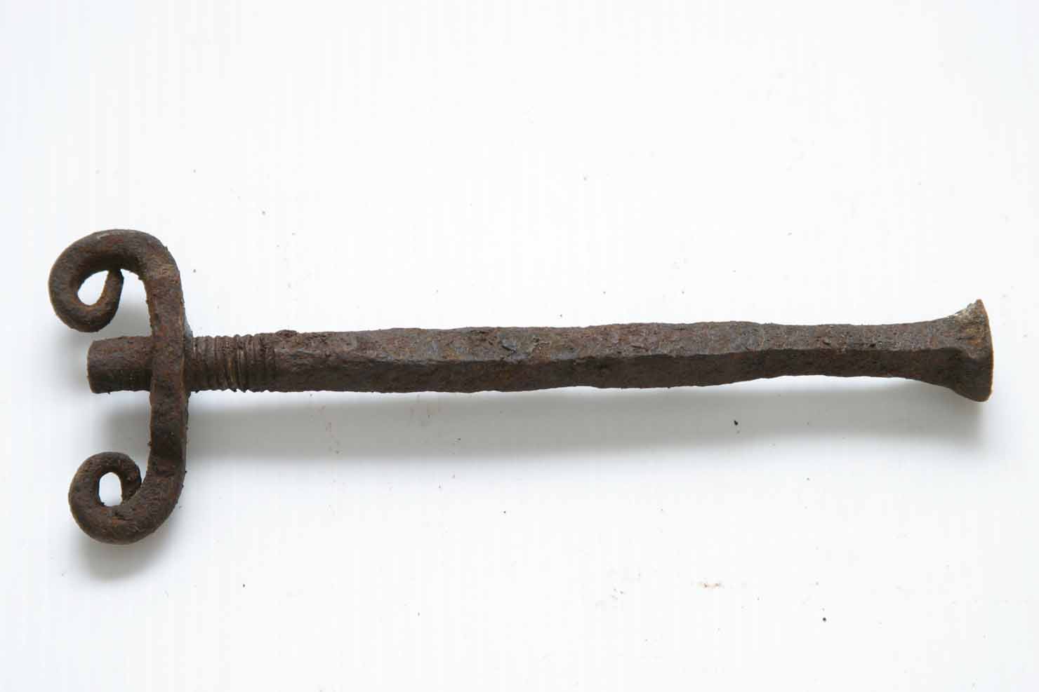 vite - produzione marchigiana (secc. XIX/ XX)