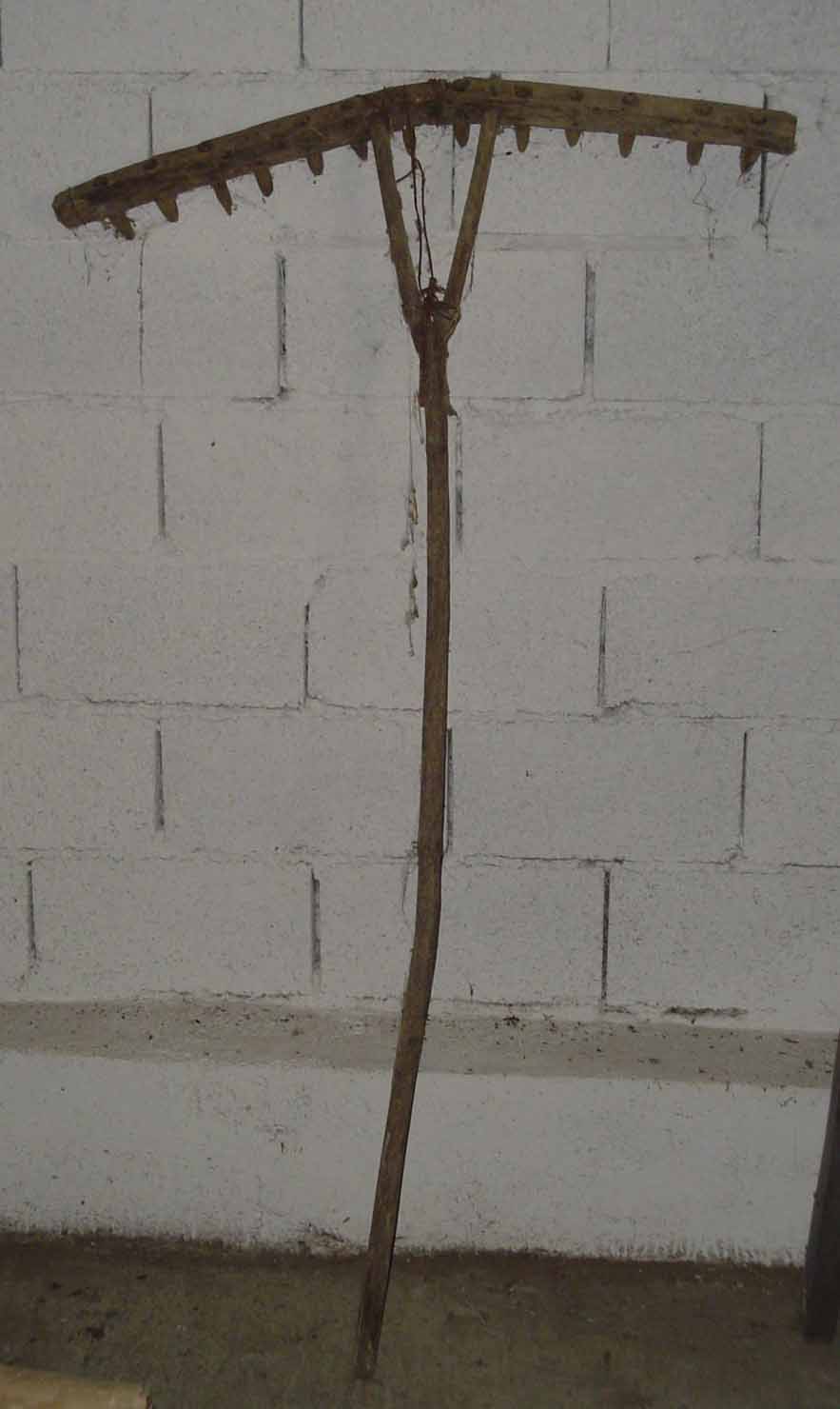 rastrello - produzione marchigiana (sec. XX inizio)