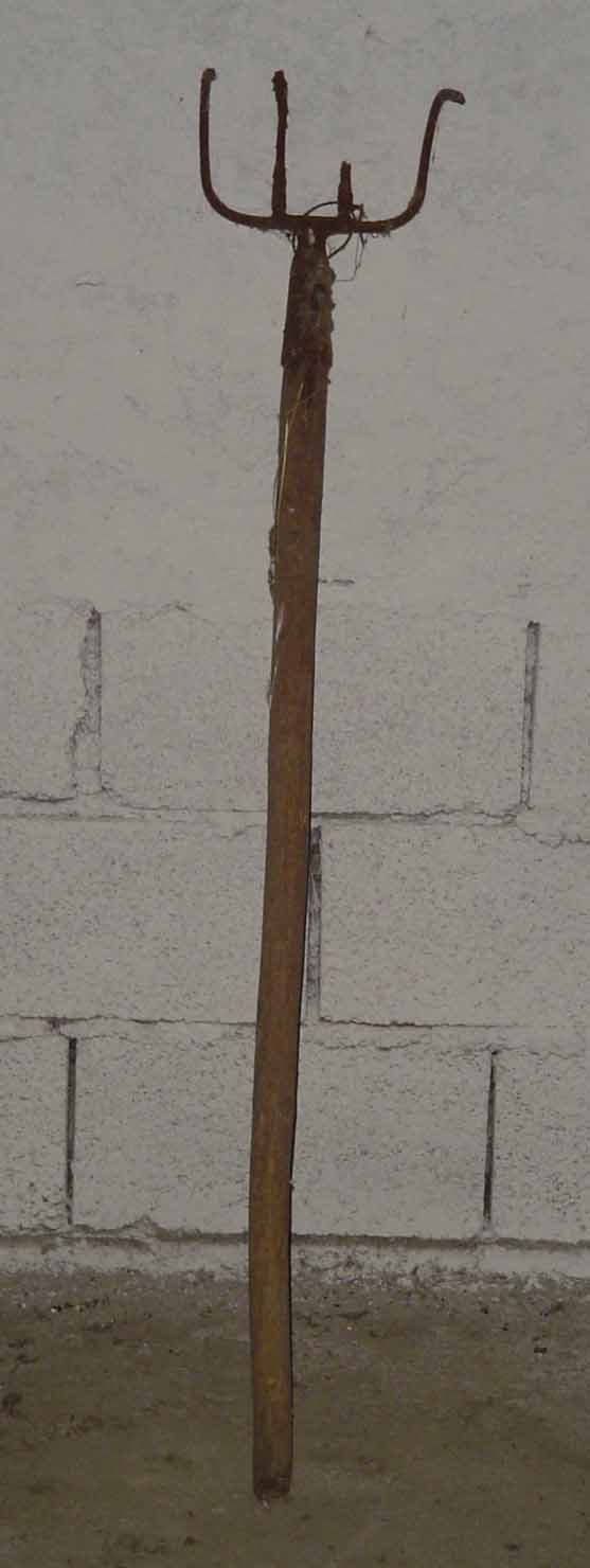 forcone - produzione marchigiana (sec. XX prima metà)