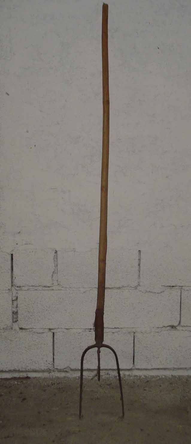 forcone - produzione marchigiana (sec. XX prima metà)