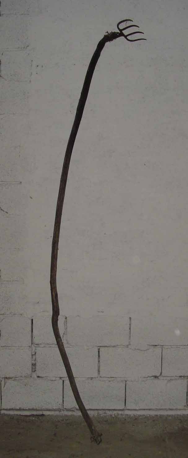 forcone - produzione marchigiana (sec. XX prima metà)