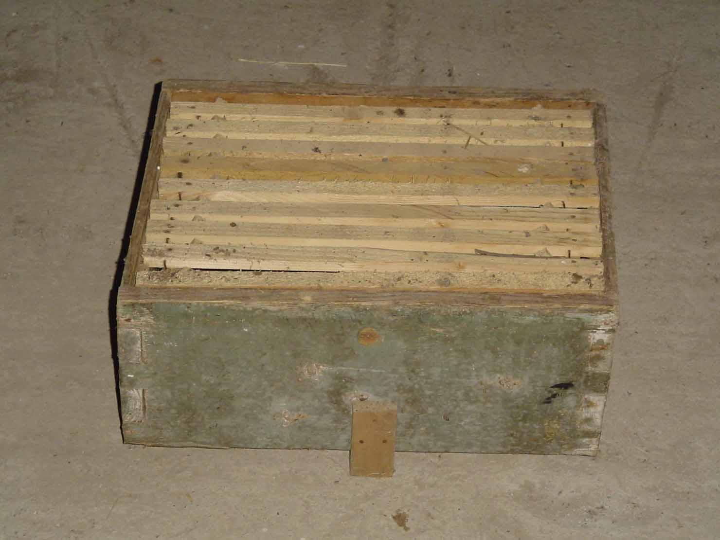 arnia - produzione marchigiana (sec. XX prima metà)