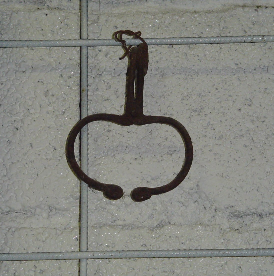 nasiera per bovini - produzione marchigiana (sec. XX prima metà)