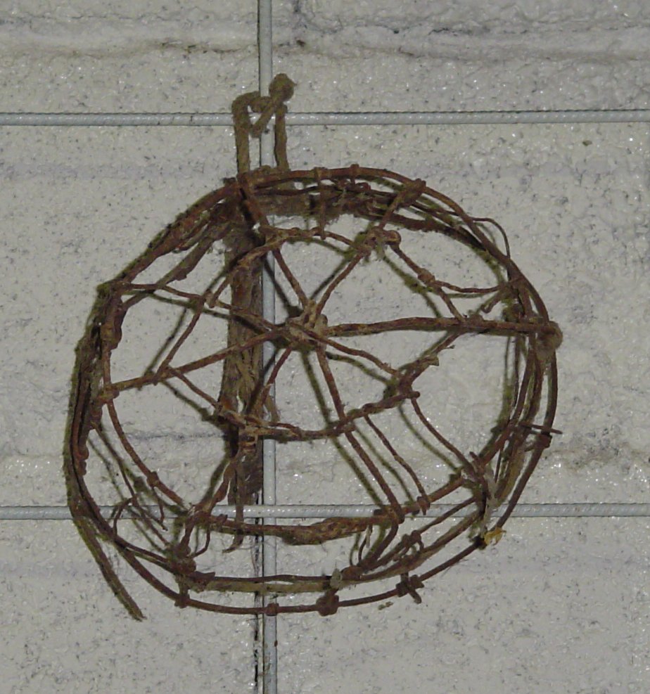 museruola per bovini - produzione marchigiana (sec. XX prima metà)