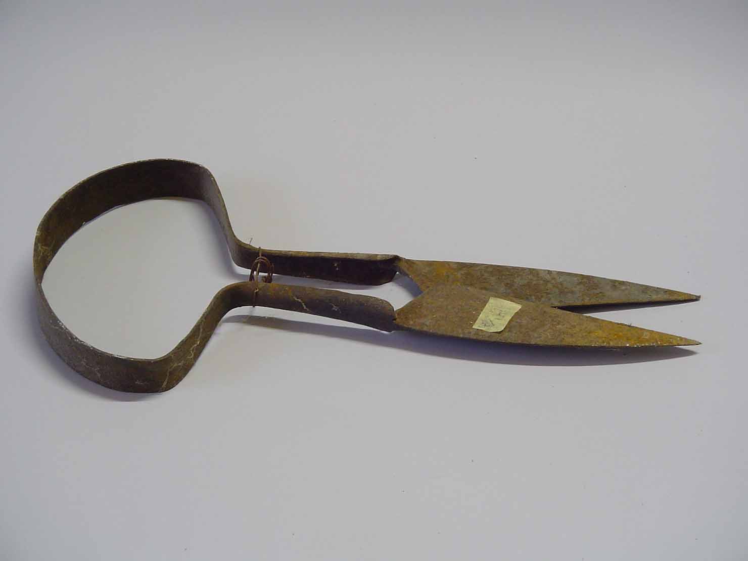 forbice per tosatura - produzione marchigiana (sec. XX prima metà)