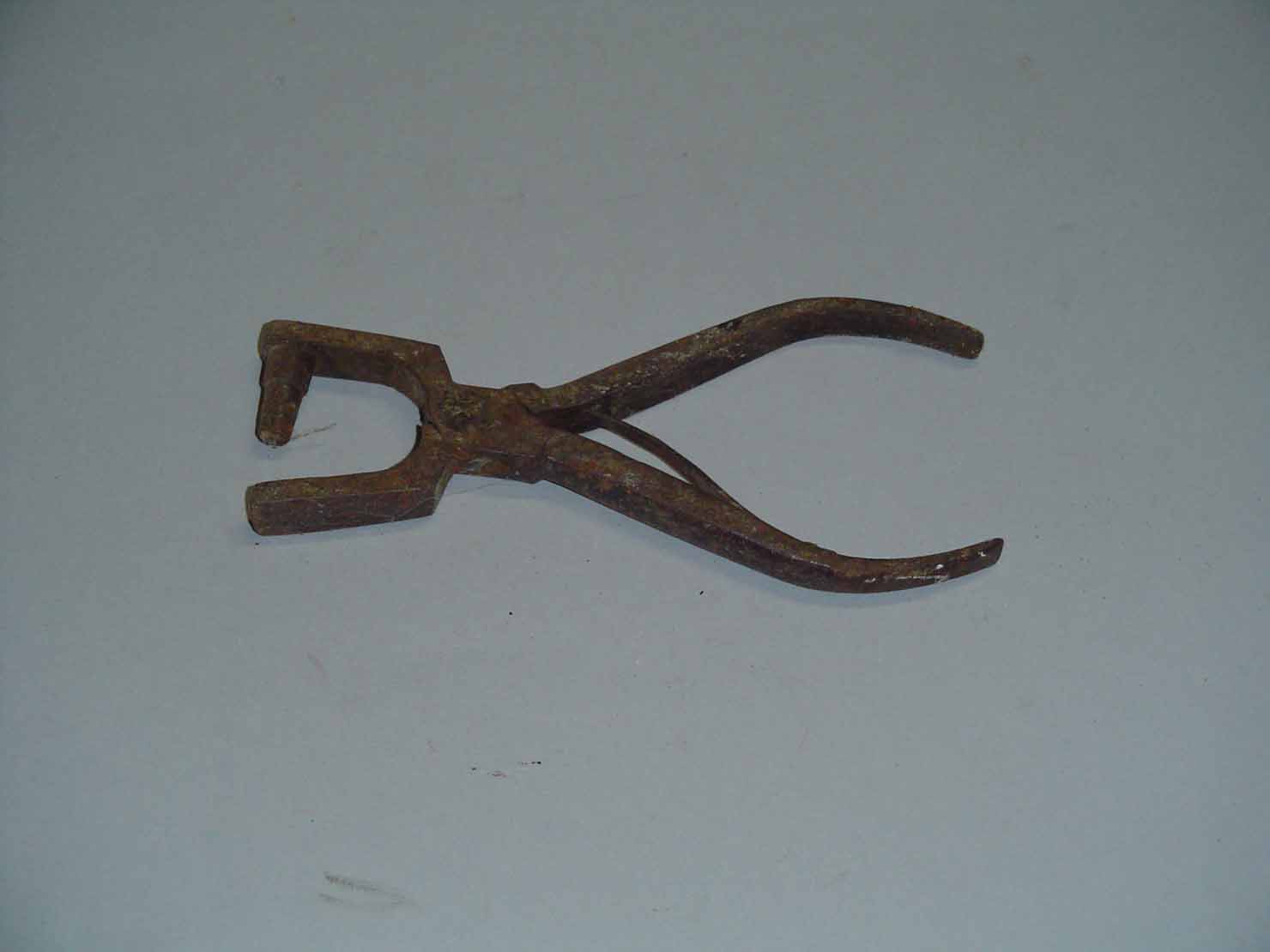 puntatrice - produzione marchigiana (sec. XX prima metà)