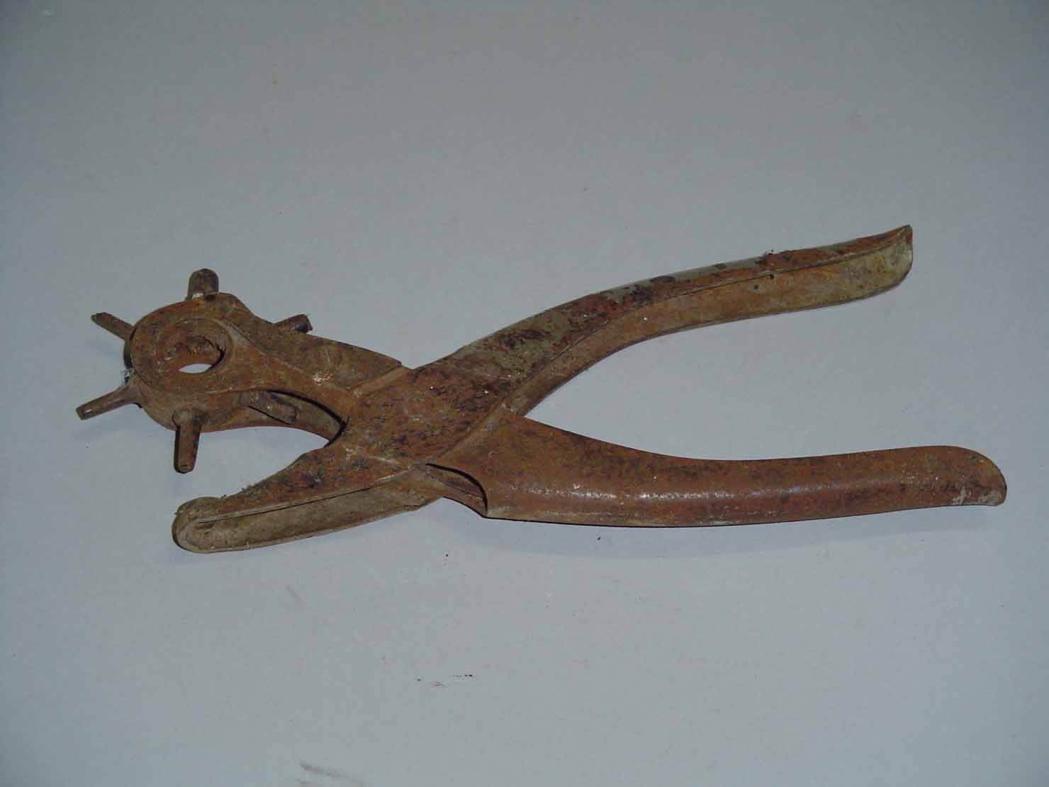 puntatrice - produzione marchigiana (sec. XX prima metà)