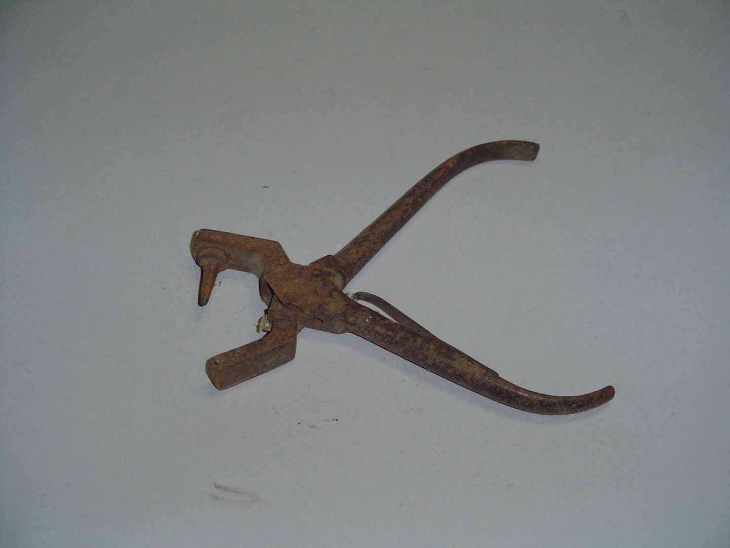 puntatrice - produzione marchigiana (sec. XX prima metà)