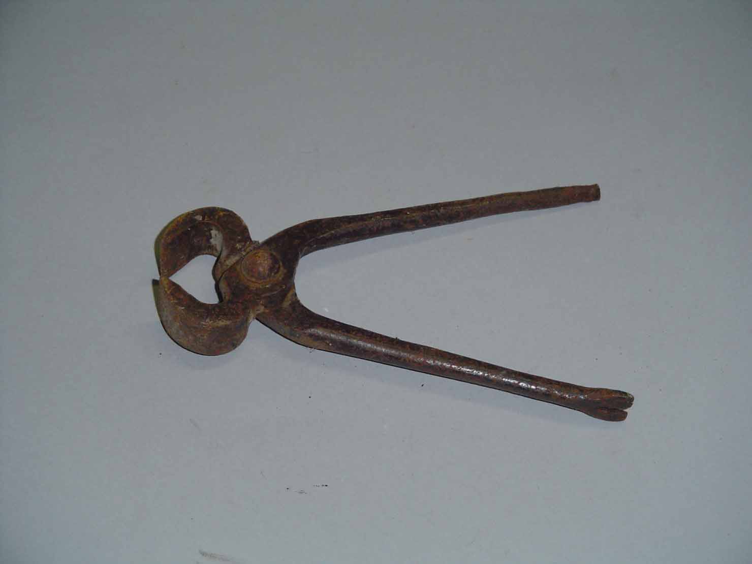 tenaglia - produzione marchigiana (sec. XX prima metà)