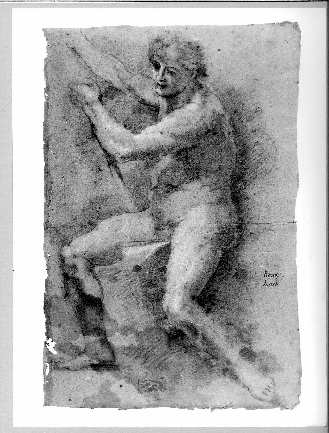 nudo virile (disegno) di Carsidoni Francesco (sec. XVII)