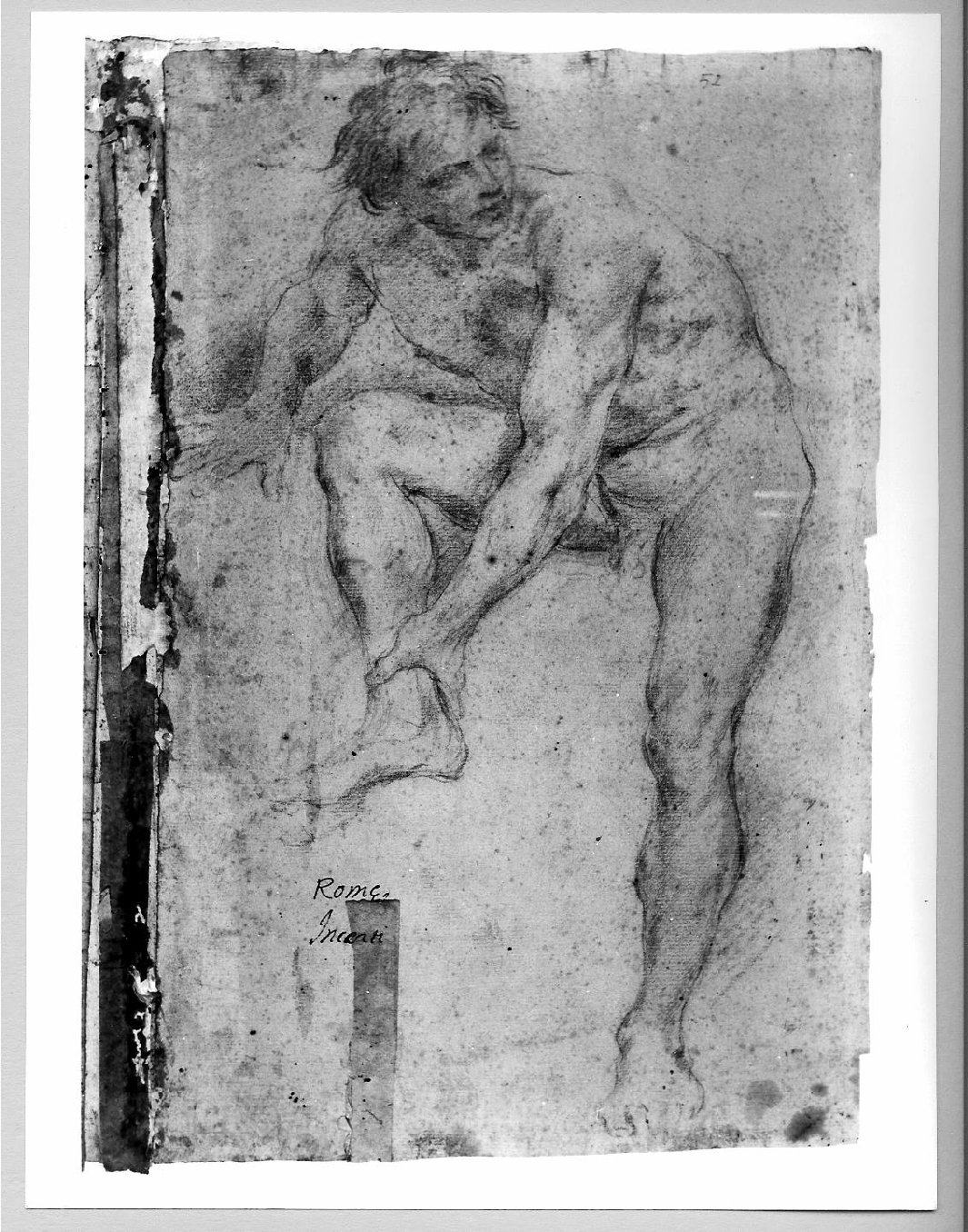 nudo virile (disegno) di Carsidoni Francesco (sec. XVII)
