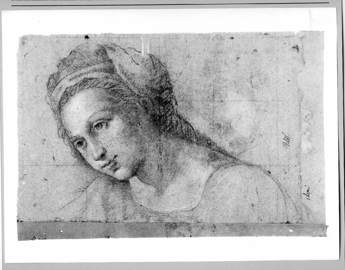 testa di fanciulla (disegno) di Carsidoni Francesco (sec. XVII)