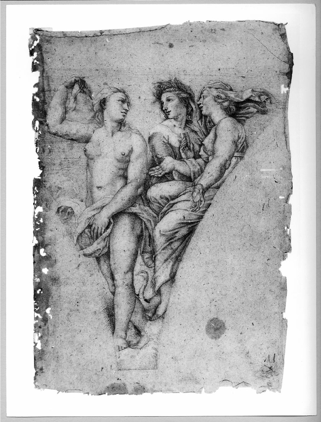 Venere con Cerere e Giunone (disegno) di Carsidoni Francesco (sec. XVII)