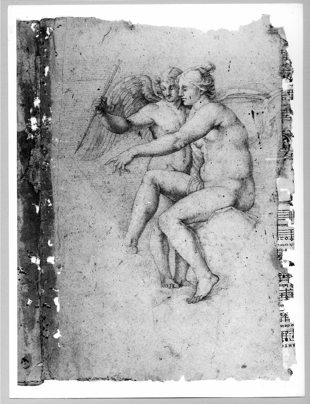 Venere e Cupido (disegno) di Carsidoni Francesco (sec. XVII)