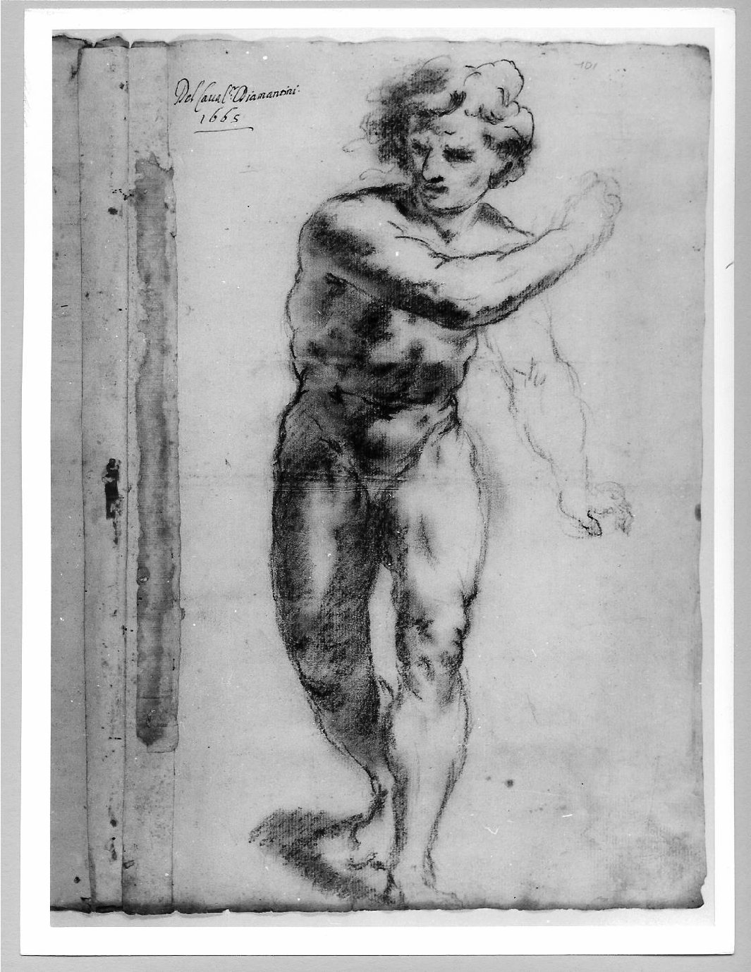 nudo virile (disegno) di Brunacci Pier Paolo (seconda metà sec. XVII)