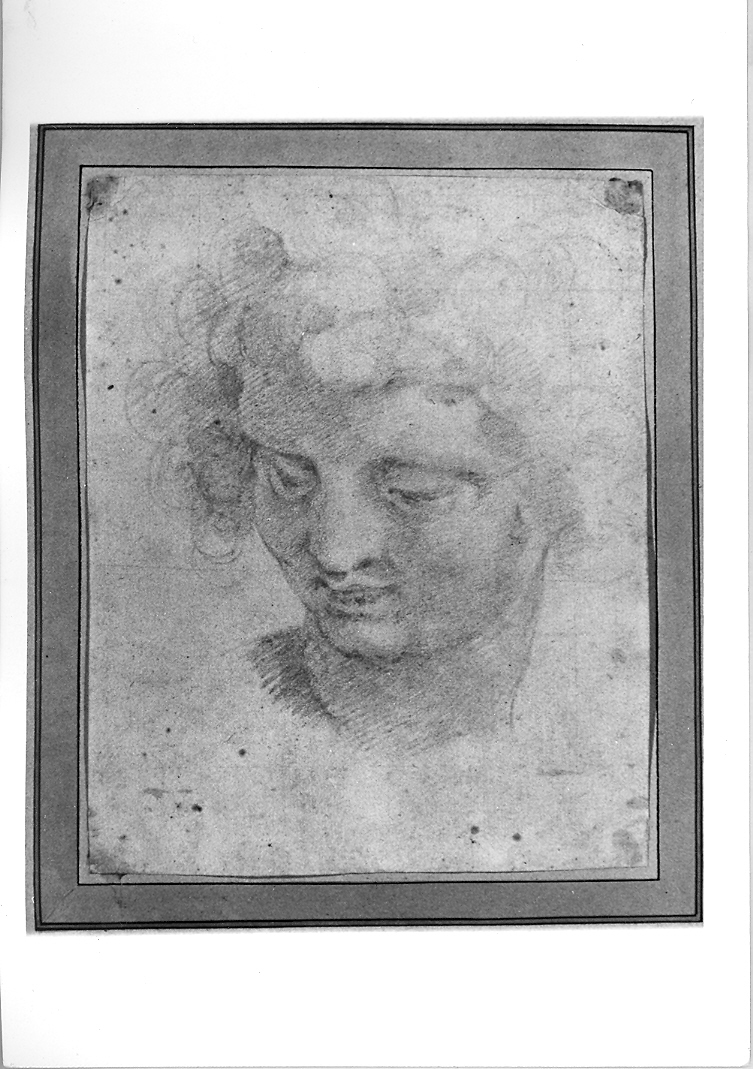 testa d'uomo (disegno preparatorio) di Roncalli Cristoforo detto Pomarancio (inizio sec. XVII)