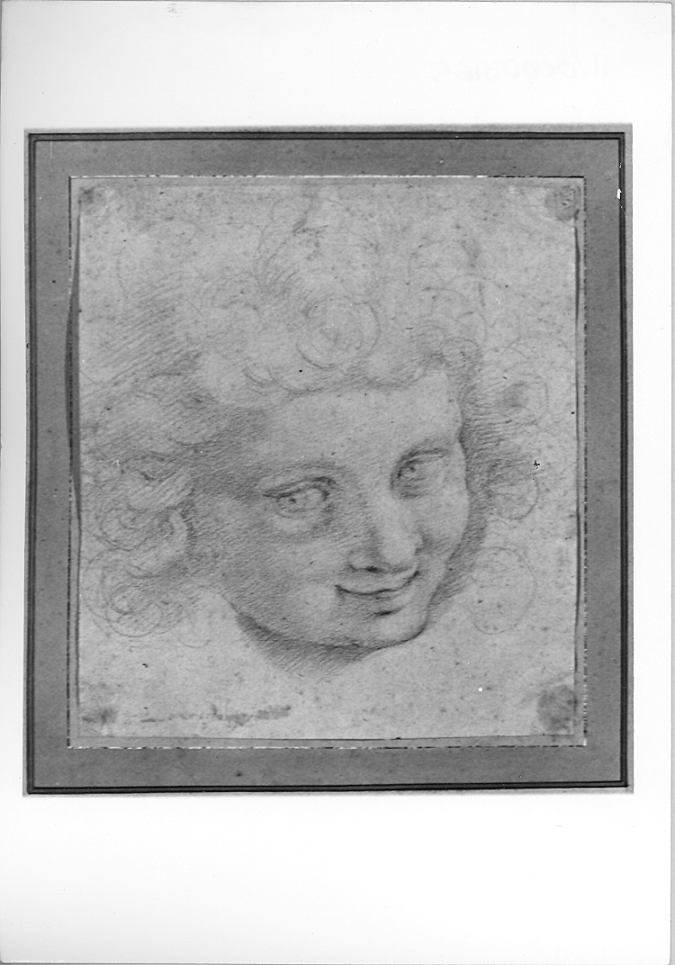 testa di angelo (disegno preparatorio) di Roncalli Cristoforo detto Pomarancio (inizio sec. XVII)