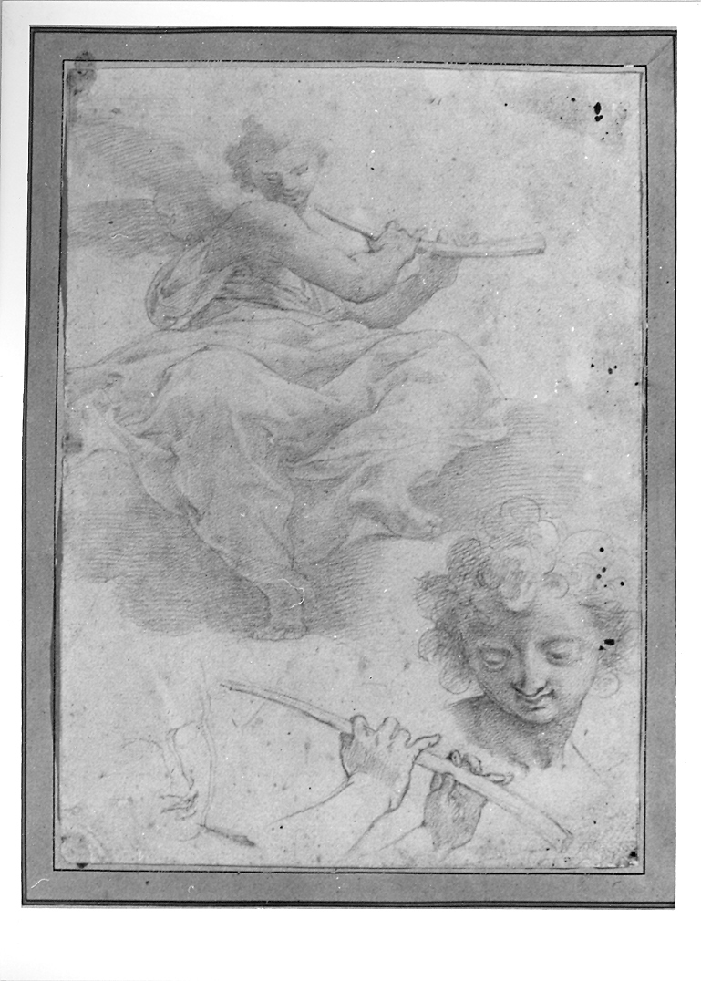 angelo musicante (disegno) di Roncalli Cristoforo detto Pomarancio (inizio sec. XVII)