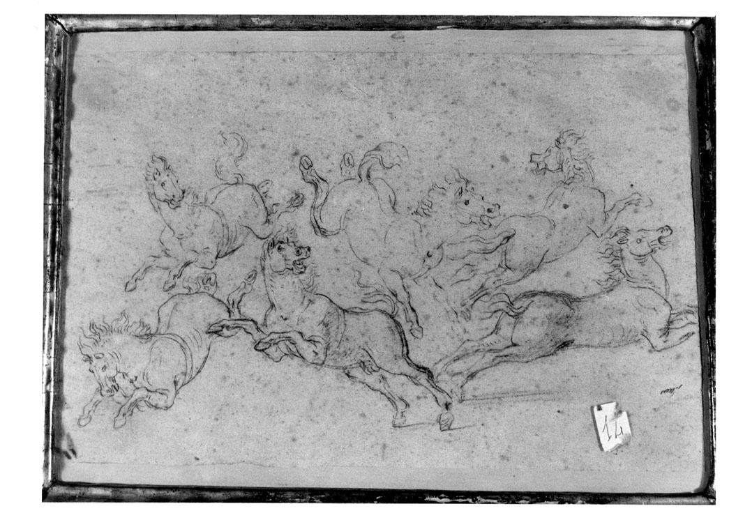 studio di cavalli (disegno) - ambito marchigiano (fine/inizio secc. XVII/ XVIII)