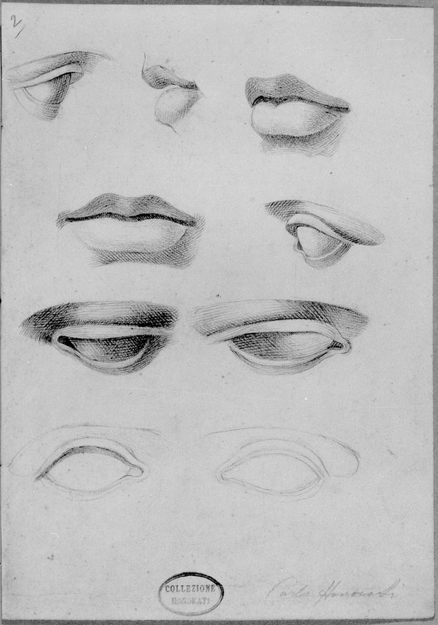 studio di bocche ed occhi (disegno) di Honorati Carlo (prima metà sec. XIX)