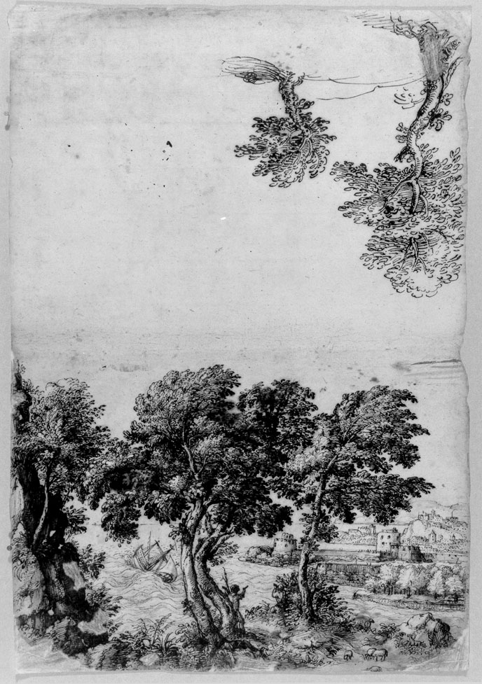 studio di due alberi (disegno) di Cibo Gherardo (sec. XVI)