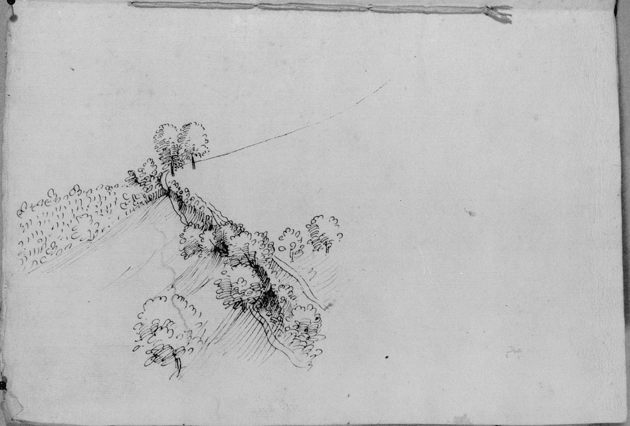 studio di paesaggio con alberi (disegno) di Cibo Gherardo (sec. XVI)