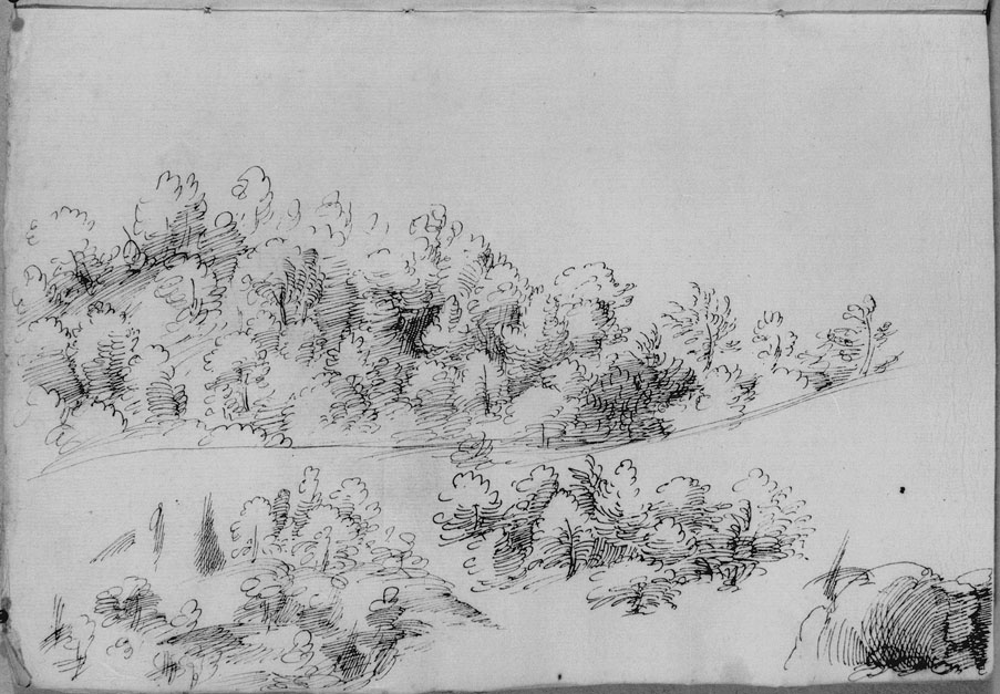 studio di paesaggio con alberi (disegno) di Cibo Gherardo (sec. XVI)