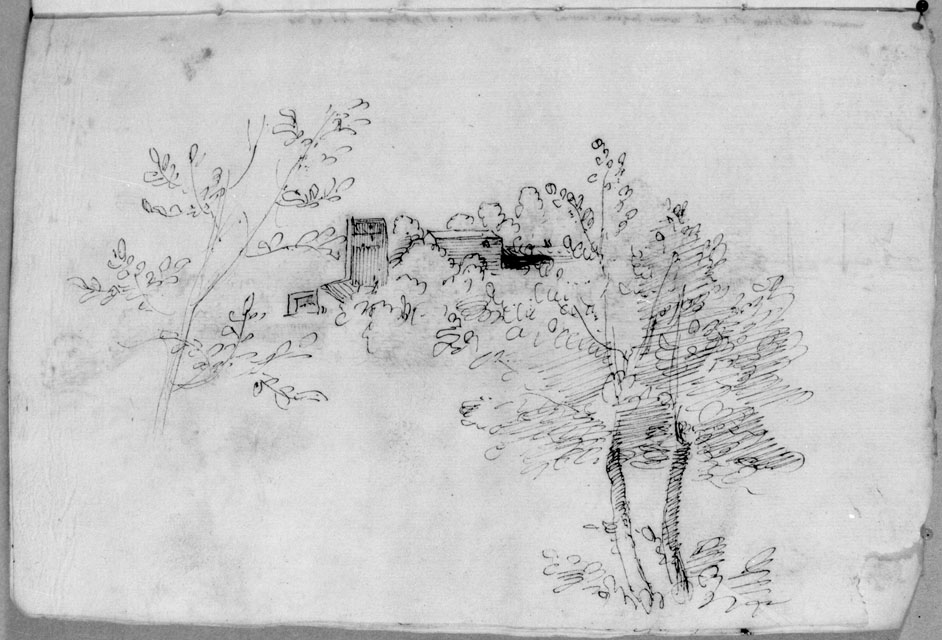 studio di paesaggio con alberi e case (disegno) di Cibo Gherardo (sec. XVI)