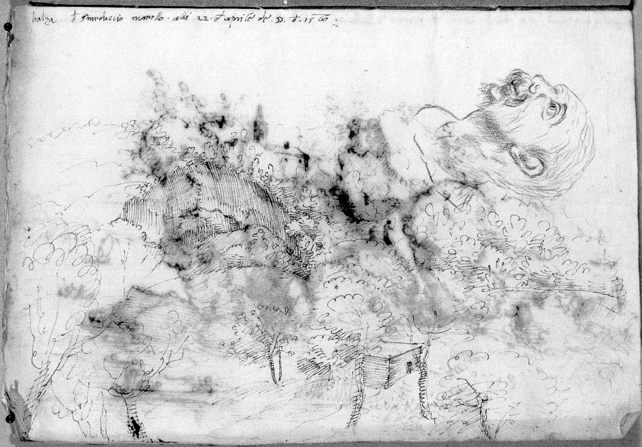 paesaggio collinare e testa virile (disegno) di Cibo Gherardo (sec. XVI)
