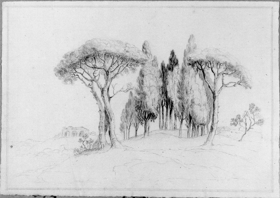 alberi (disegno) - ambito italiano (secc. XVIII/ XIX)