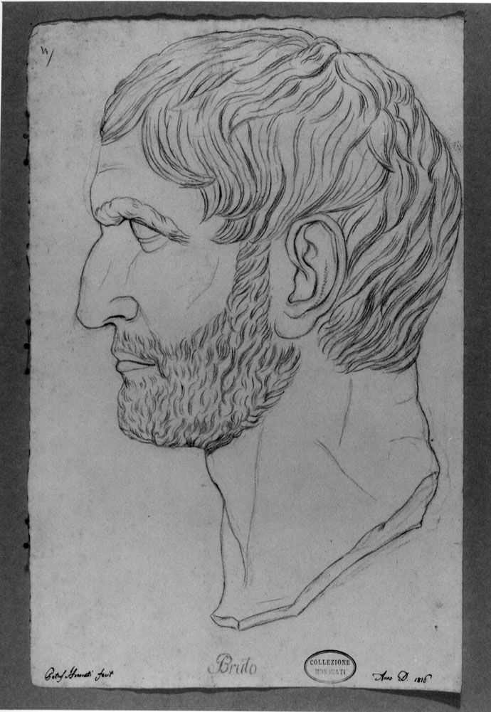 testa di Bruto di profilo (disegno) di Honorati Pietro (sec. XIX)