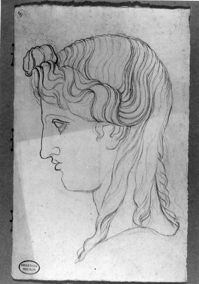 testa di Antinoo di profilo (disegno) di Honorati Pietro (sec. XIX)