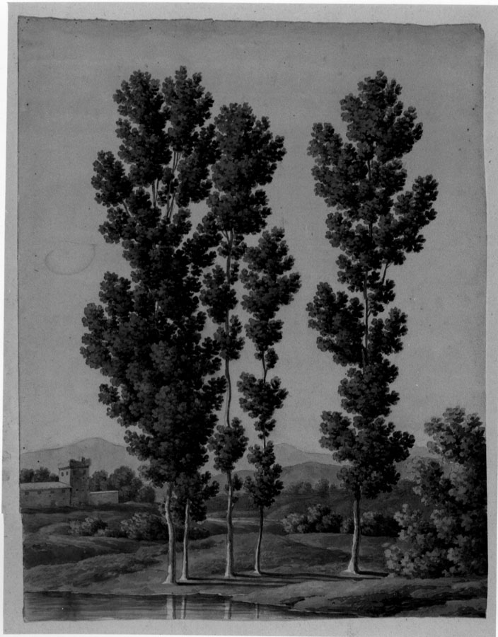 paesaggio con alberi (disegno) di Honorati Pietro (prima metà sec. XIX)