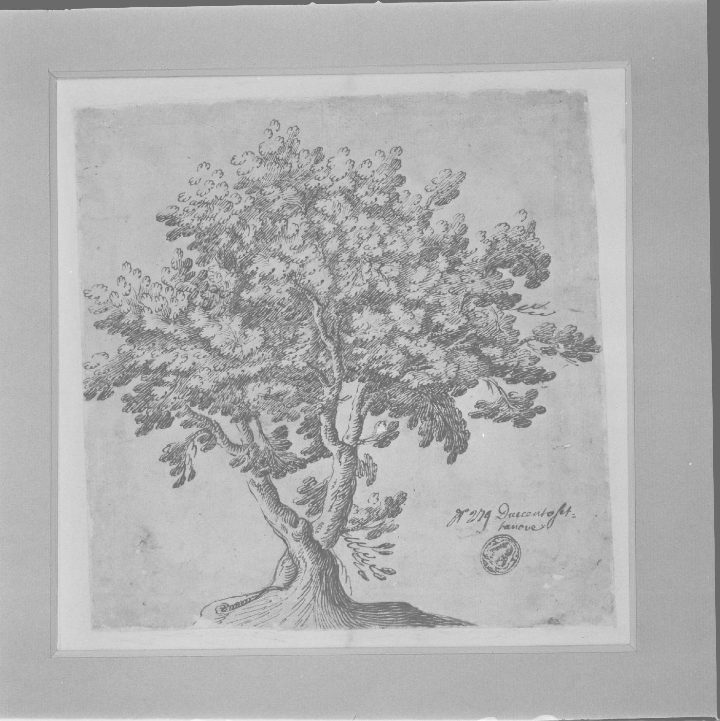 pianta (disegno) - ambito Italia centrale (sec. XVII)