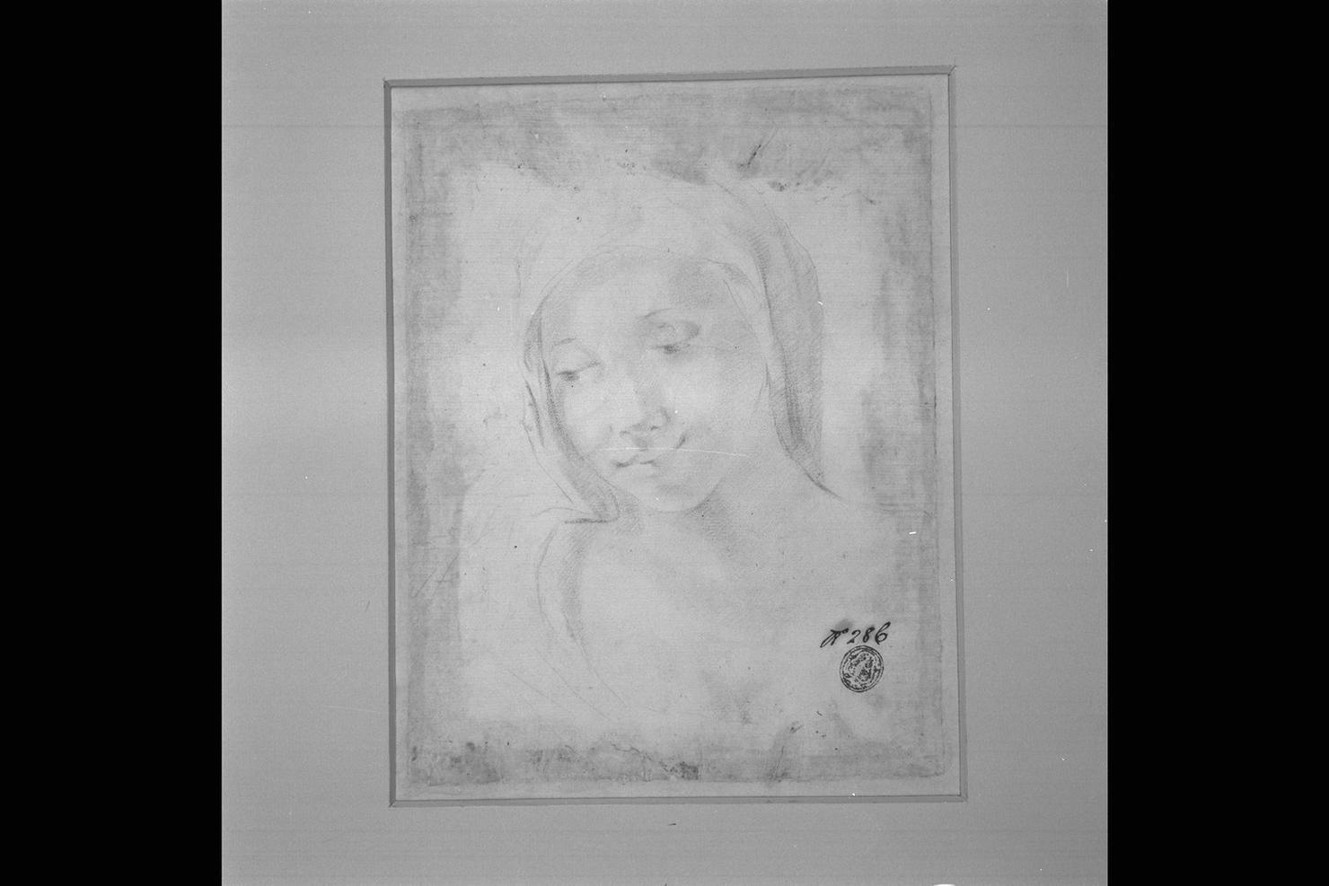 testa di donna (disegno) - ambito italiano (secc. XVI/ XVII)
