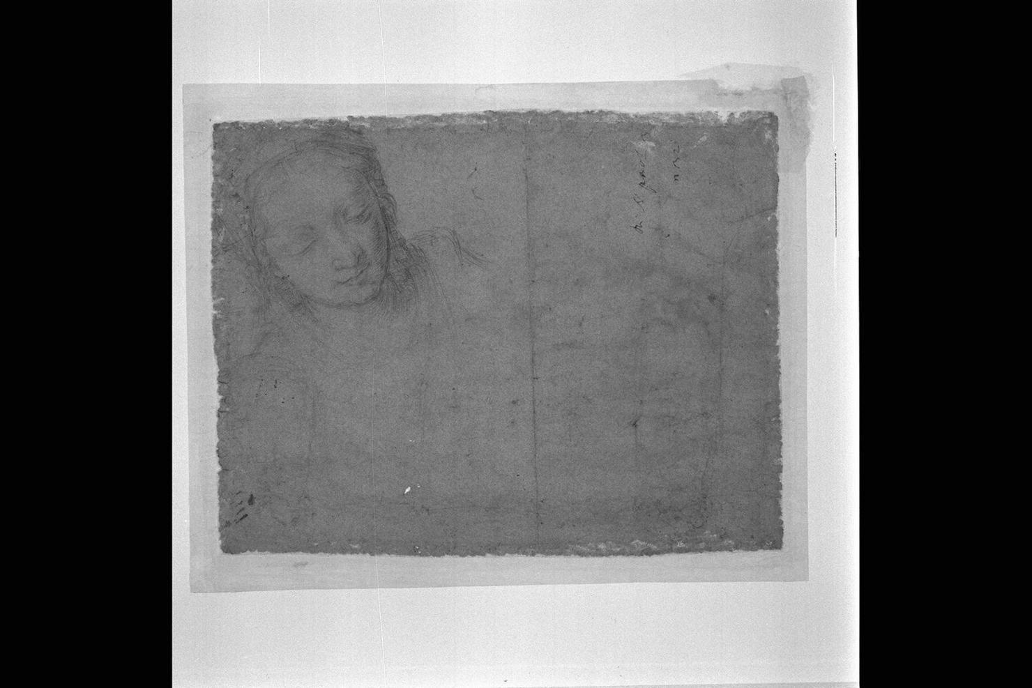 testa di donna (disegno) - ambito emiliano (sec. XVII)