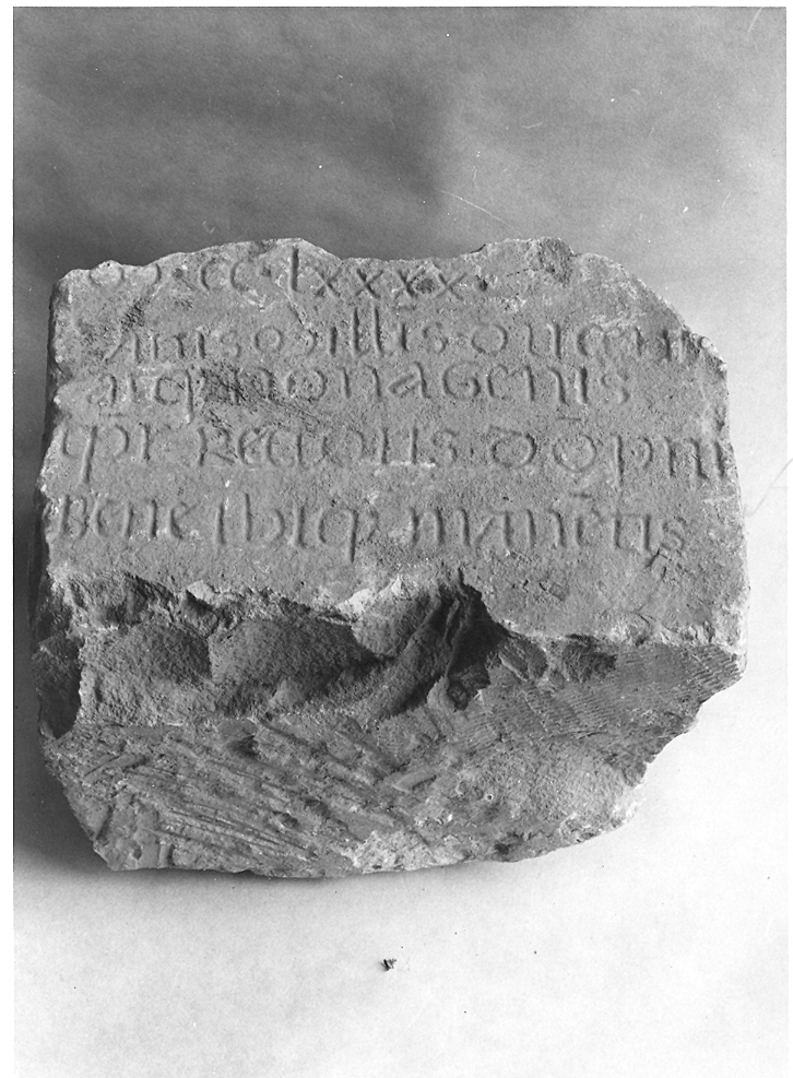 lapide - bottega marchigiana (sec. XIII)