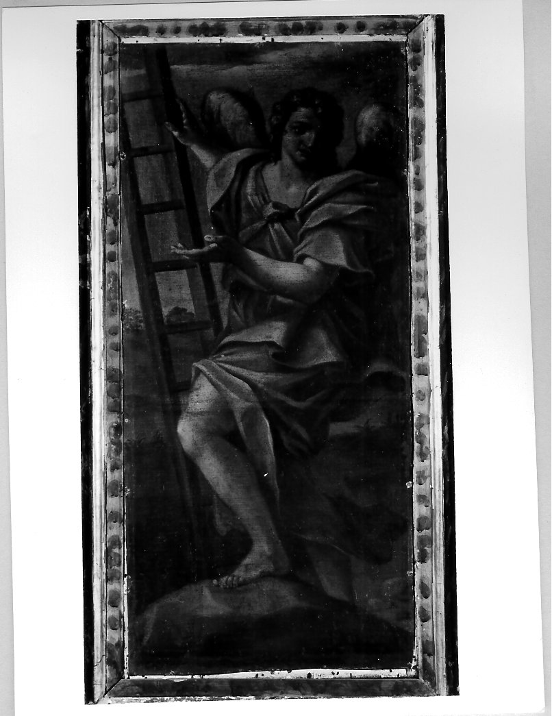 angelo con strumento della passione: scala (dipinto, elemento d'insieme) di Oddi Giuseppe (attribuito) (sec. XVIII)