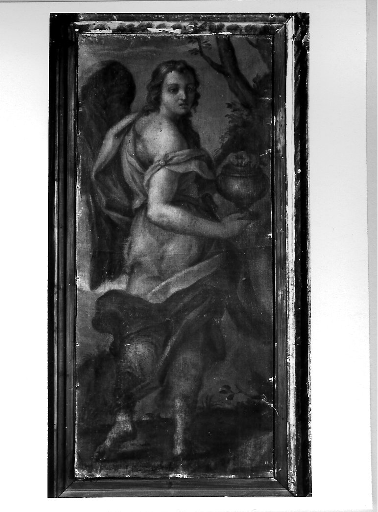 angelo con vaso di unguenti (dipinto, elemento d'insieme) di Oddi Giuseppe (attribuito) (sec. XVIII)