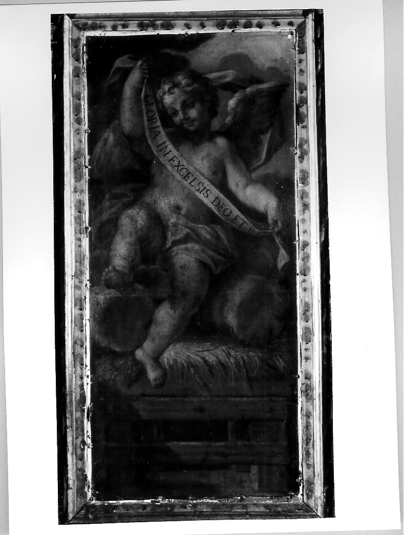 angelo con cartiglio (dipinto, elemento d'insieme) di Oddi Giuseppe (attribuito) (sec. XVIII)
