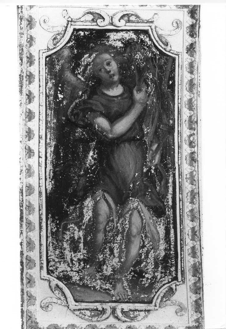 angelo (dipinto) - ambito marchigiano (sec. XVI)